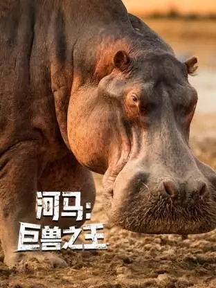 野生巨兽的惊险对决：河马巨兽之王中的自然生态与生存智慧