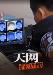 《天网：罪案疑云》：一部烧脑悬疑片，直击人性暗角，让你欲罢不能！