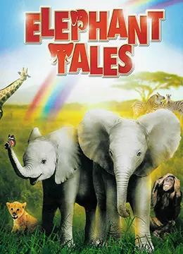 《小象寻母》：一段跨越山海的母爱史诗，感人至深的情感羁绊与生命轮回